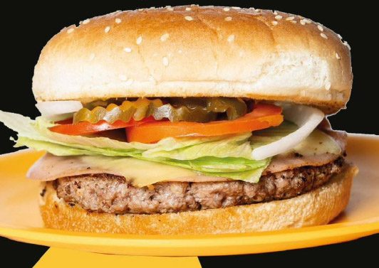Burger Especial